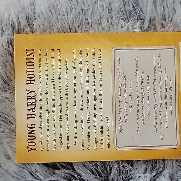 Young Houdini : The Magicians Fire - Picture 2 of 4